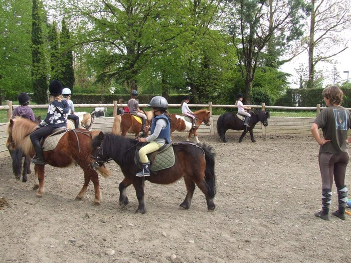 RÃ©sultat de recherche d'images pour "Club Hippique du Vigoulet-Auzil"